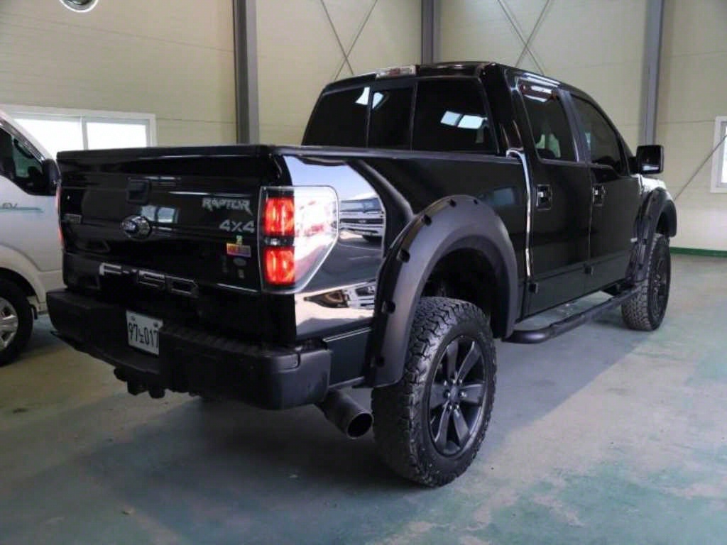 포드 F-Series 3.5L 사진 2/17