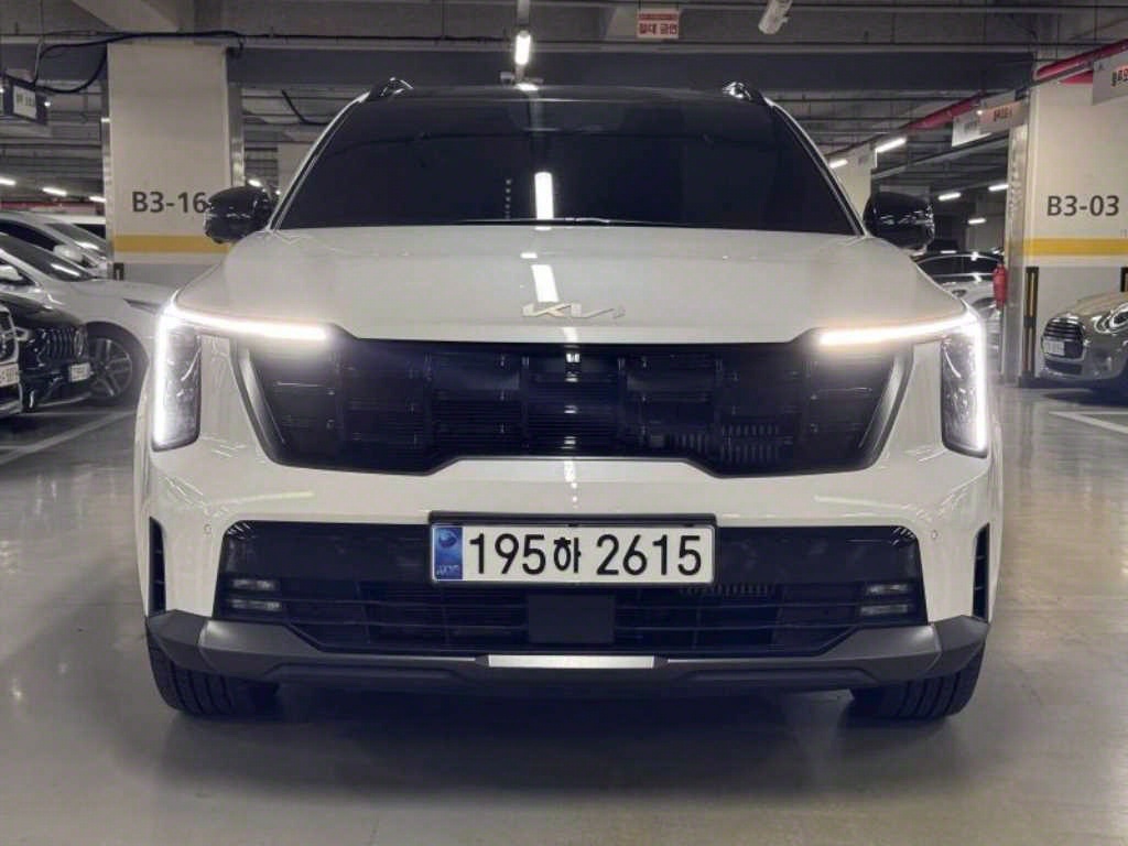 기아 쏘렌토 1.6T 4WD 시그니처 그래비티 사진 2/20