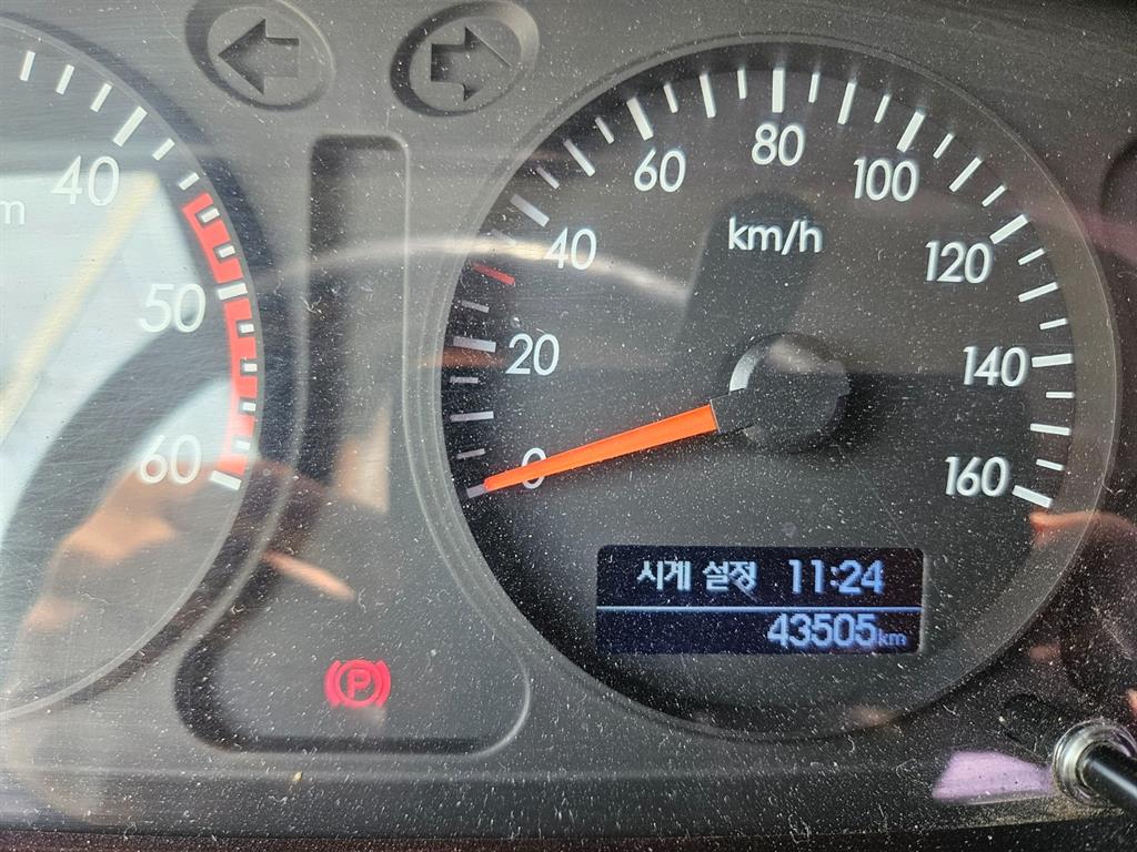마이티큐티 카고
