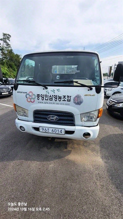 이마이티 카고