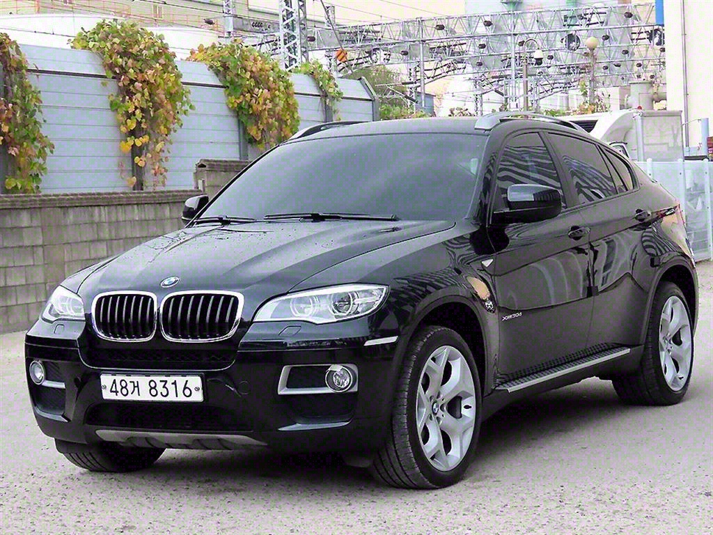 BMW X6 xDrive 30d 사진 2/20