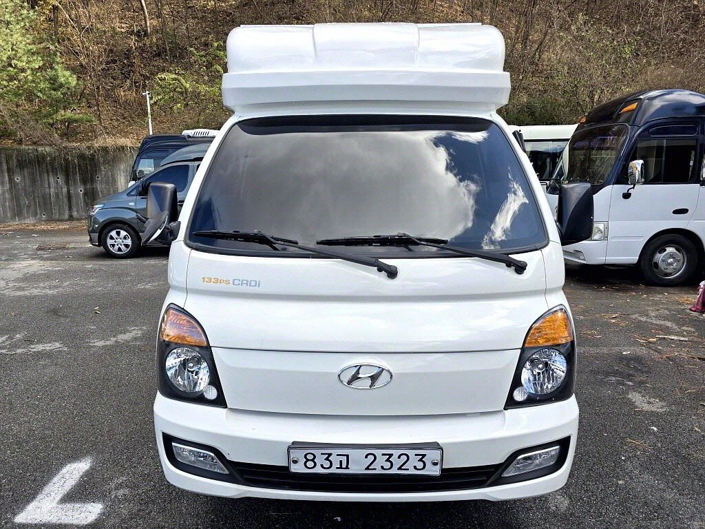 포터2 캠핑트럭 인산철배터리 255A 100L 255W