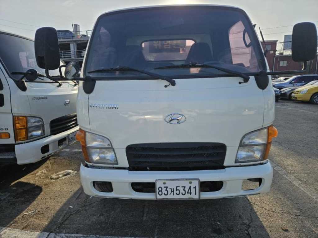 홈로리 마이티큐티