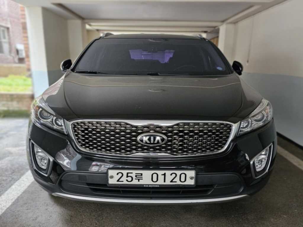 국산차 리스트 차량 이미지