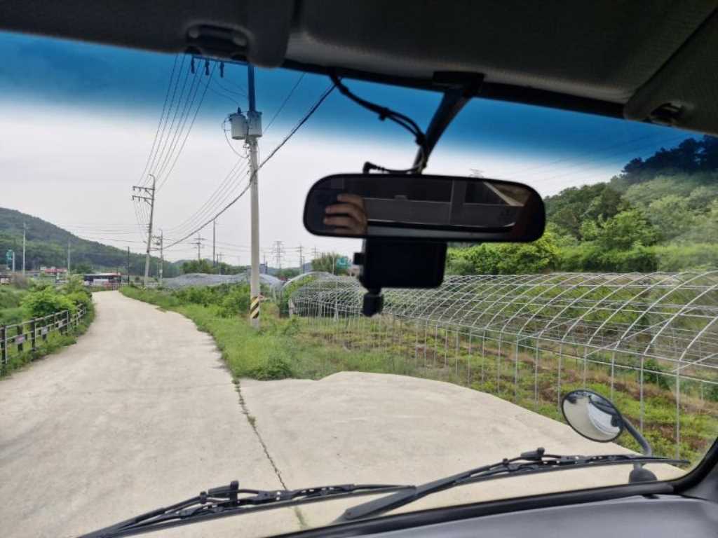 마이티큐티 2.5톤 카고 장축