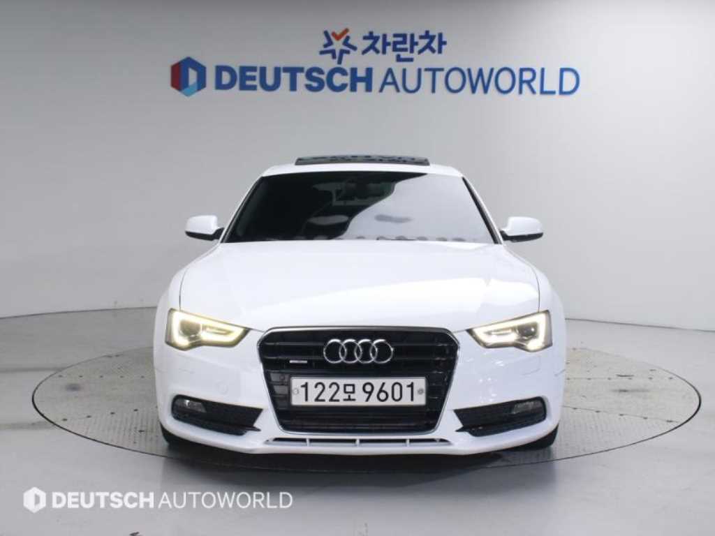 국산차 리스트 차량 이미지