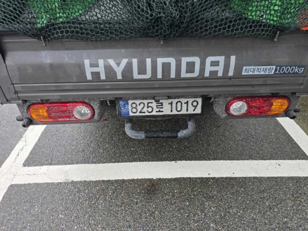 국산차 리스트 차량 이미지