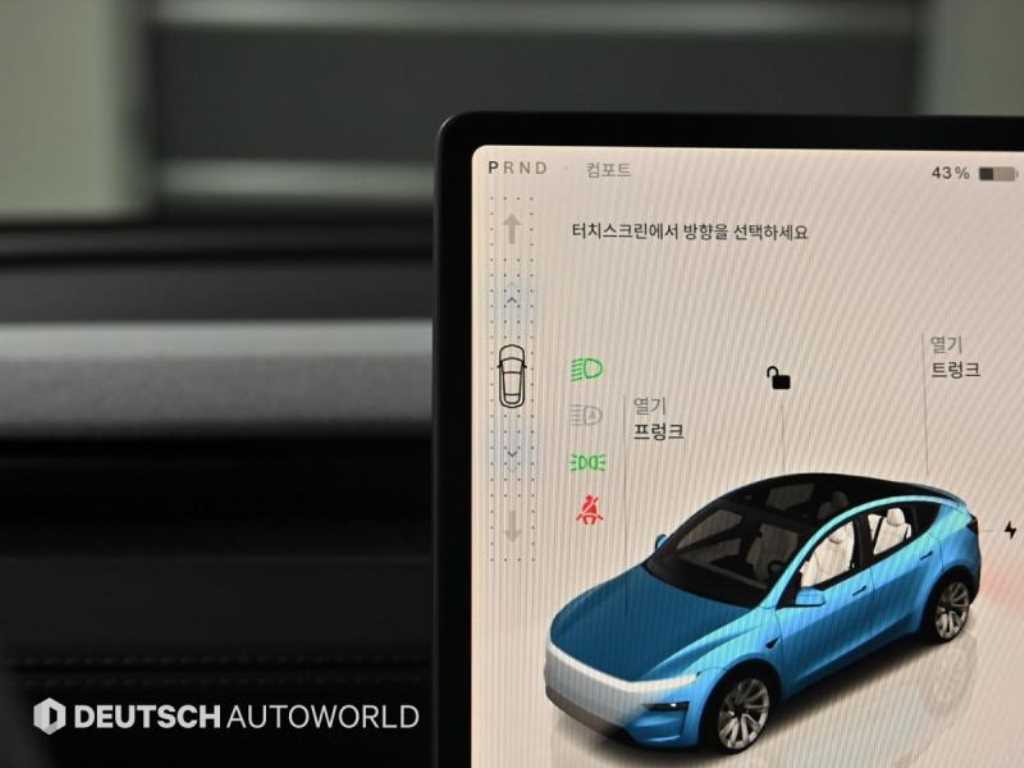 Tesla Model Y Long Range 10