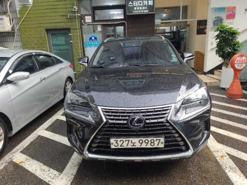 국산차 리스트 차량 이미지