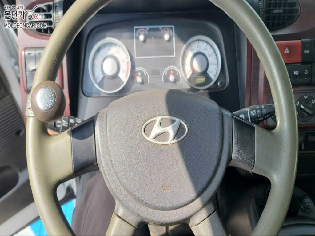 현대 메가트럭 카고 5