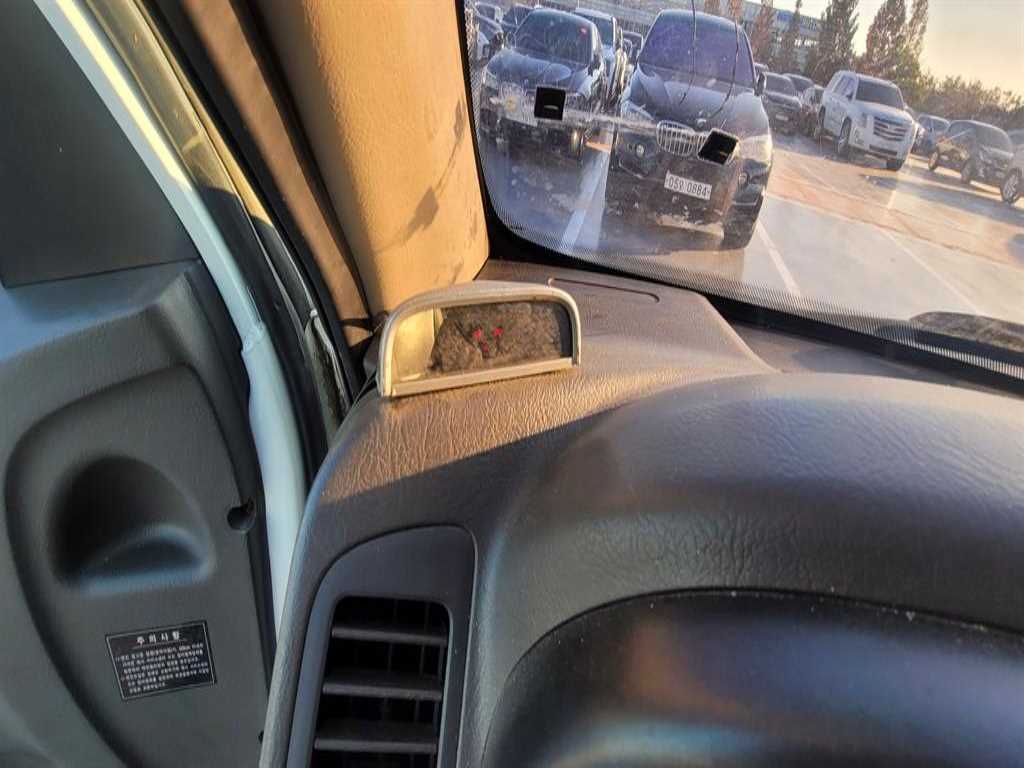 현대 포터2 1톤 카고 10