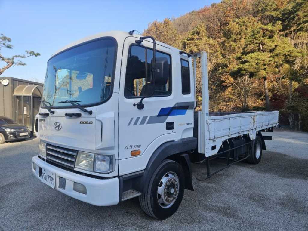 현대 메가트럭 카고 장축