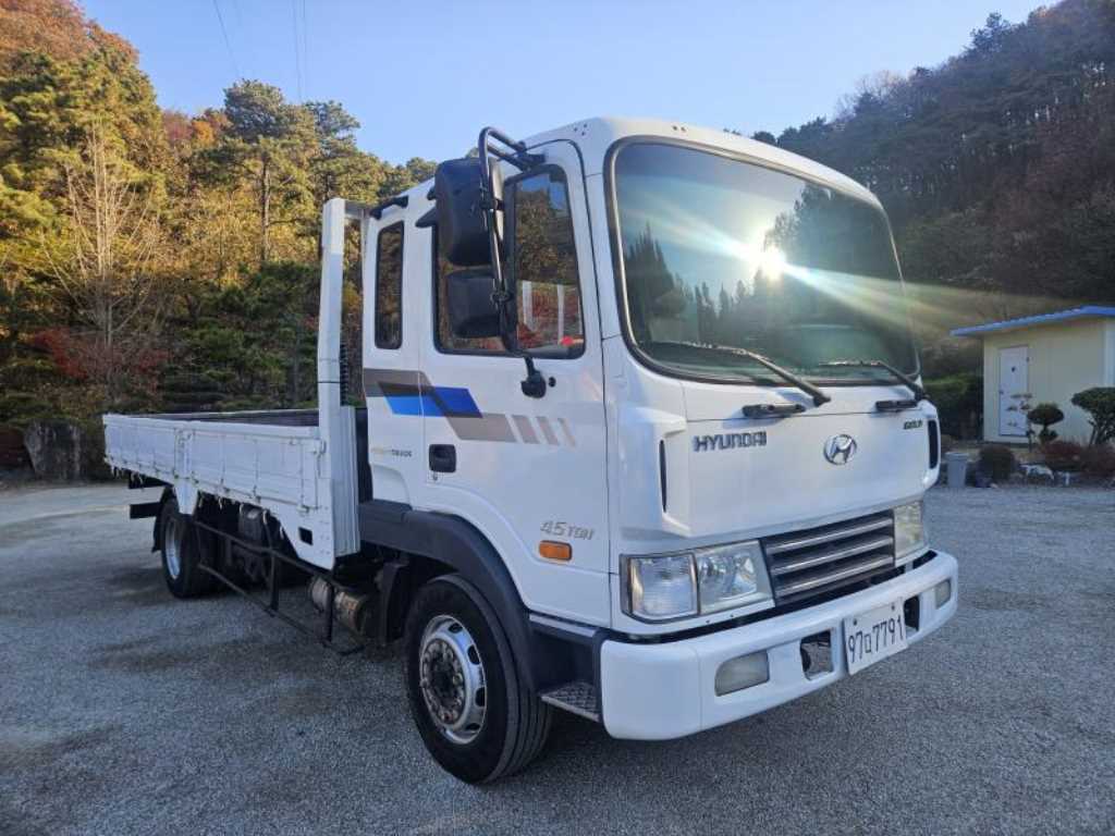 현대 메가트럭 카고 장축 2