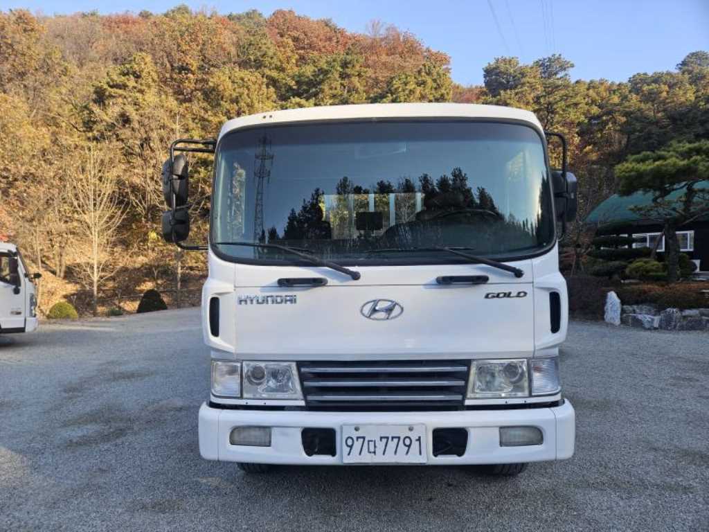 현대 메가트럭 카고 장축 1