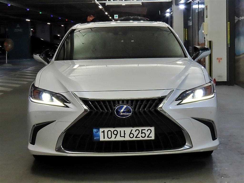 국산차 리스트 차량 이미지