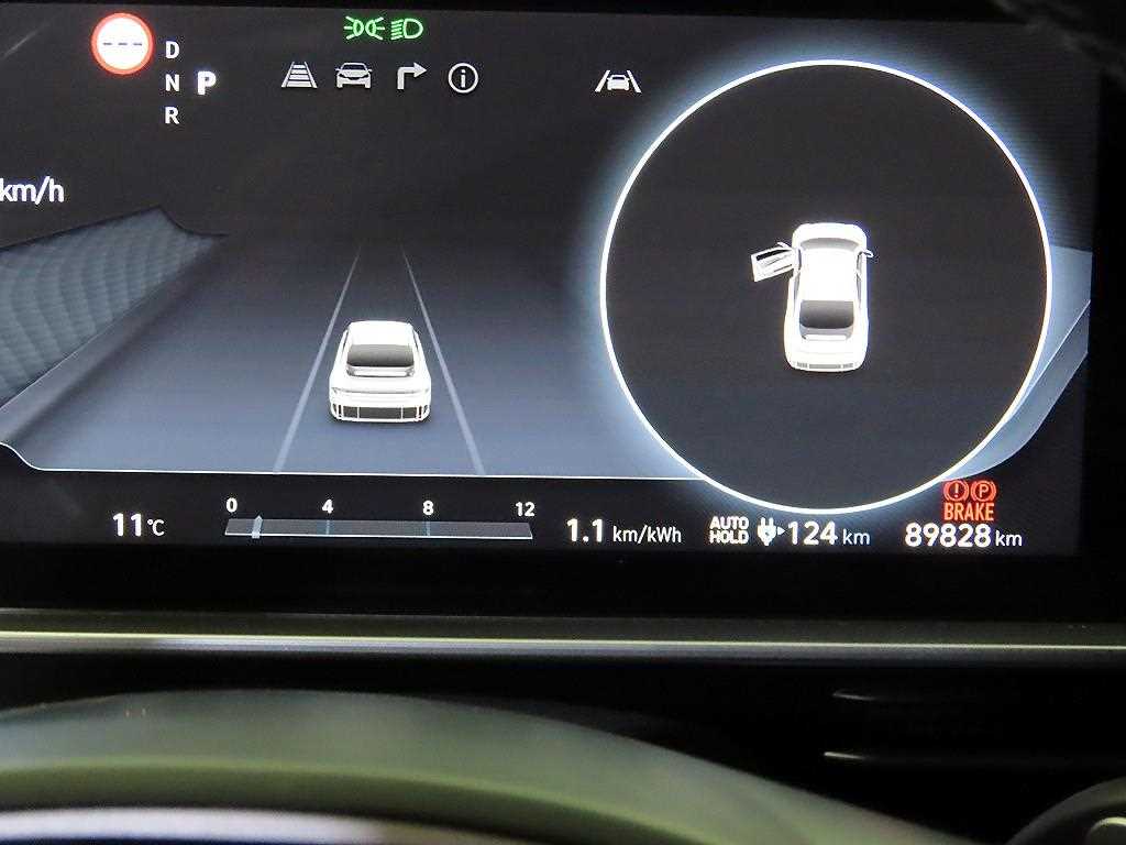 Hyundai IONIQ Long Range Exclusive Plus 10