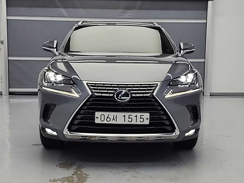 국산차 리스트 차량 이미지