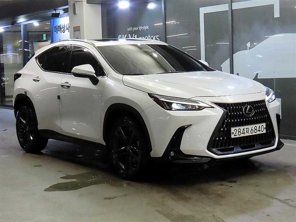 국산차 리스트 차량 이미지