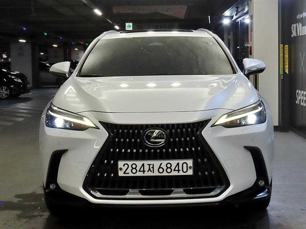 국산차 리스트 차량 이미지