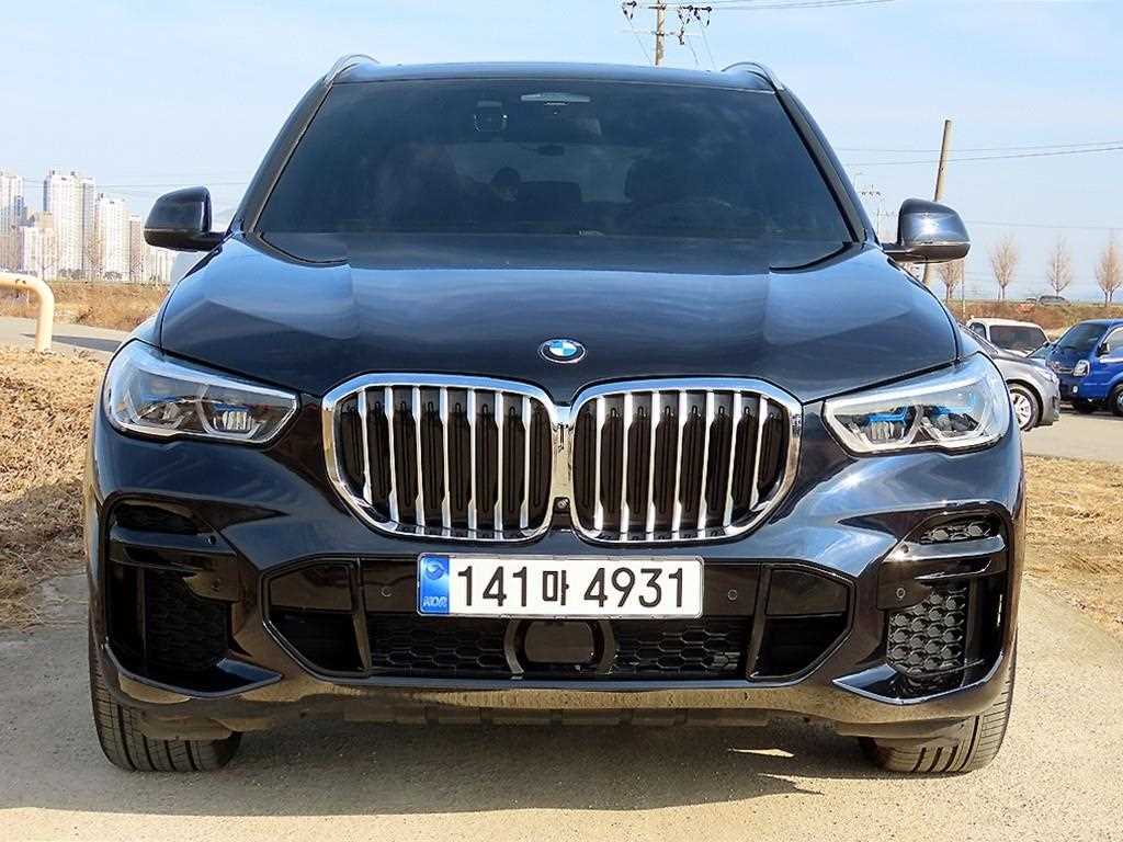 BMW X5 X5 (G05) xDrive 30d M 스포츠 기본형