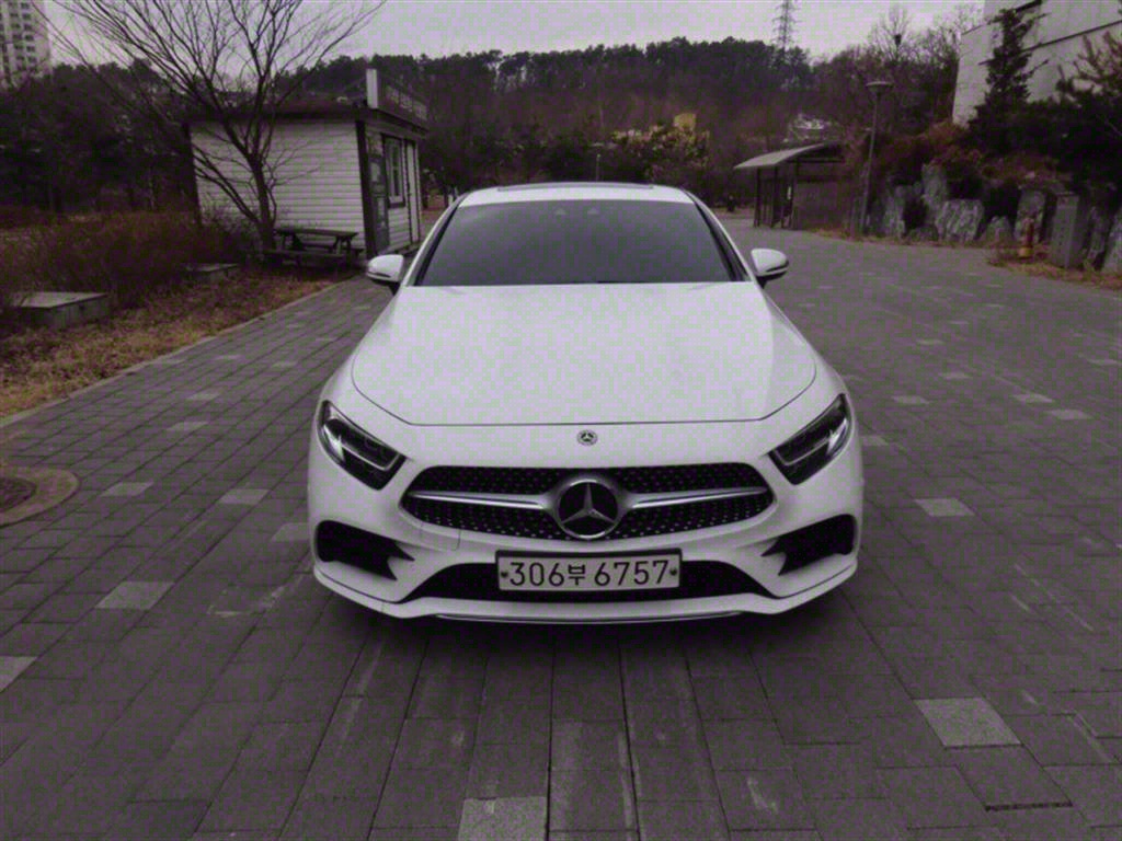 Mercedes-Benz CLS-Class CLS300d AMG Line