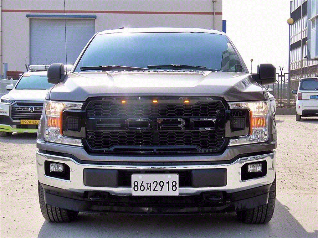 포드 F-Series 3.5L 사진