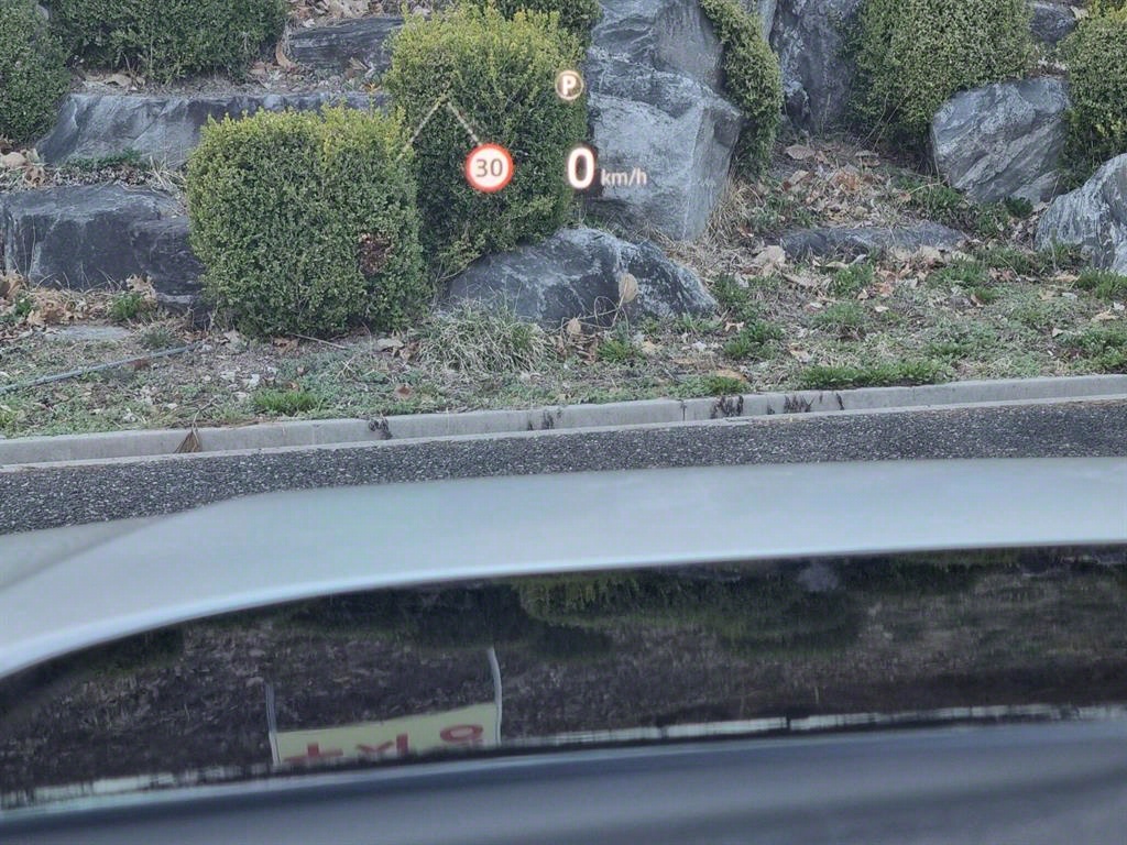 Land Rover Discovery Sport P250 Dynamic SE 10