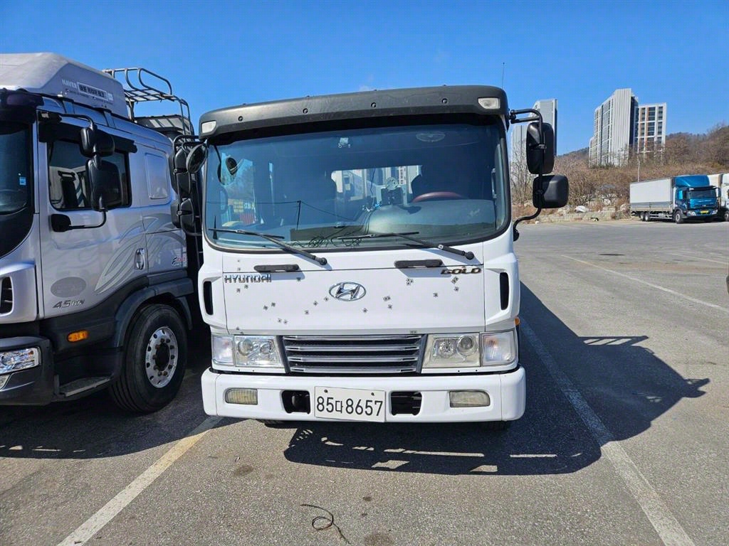 메가트럭 카고 6.5톤 수동