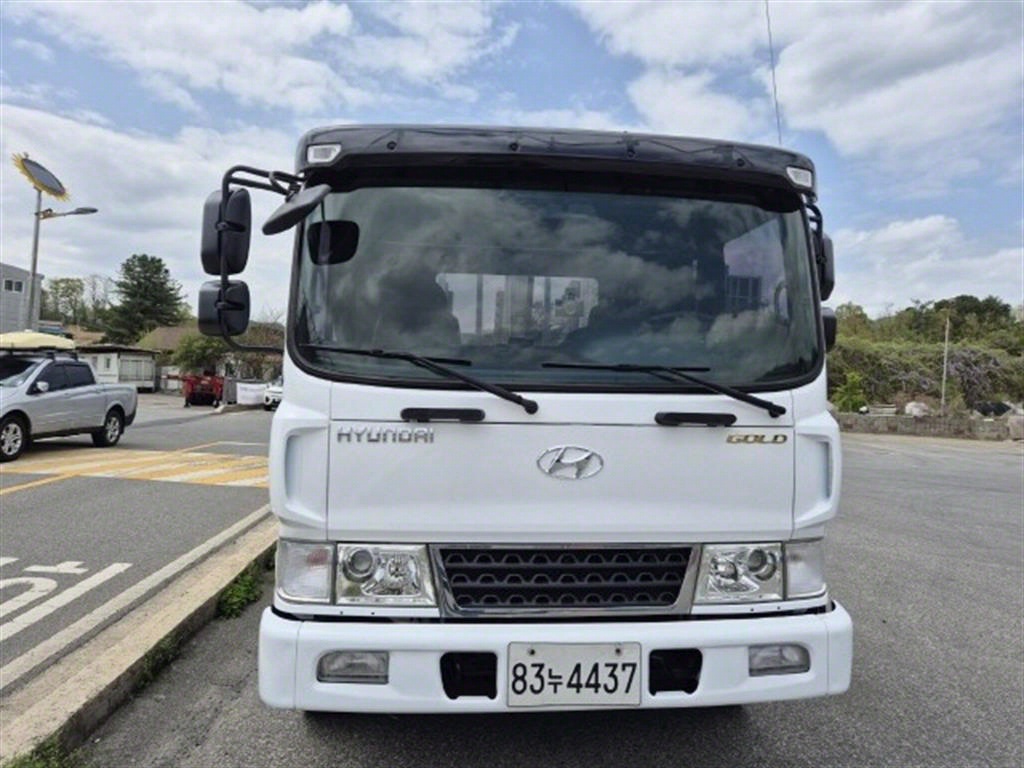 메가트럭 카고 8.5톤 수동