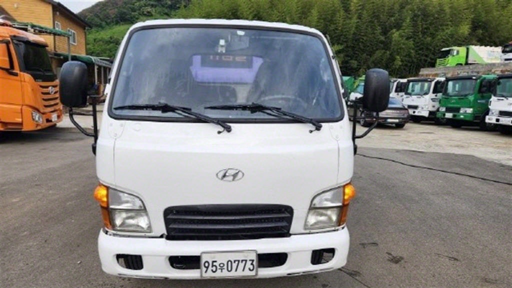 홈로리 마이티큐티