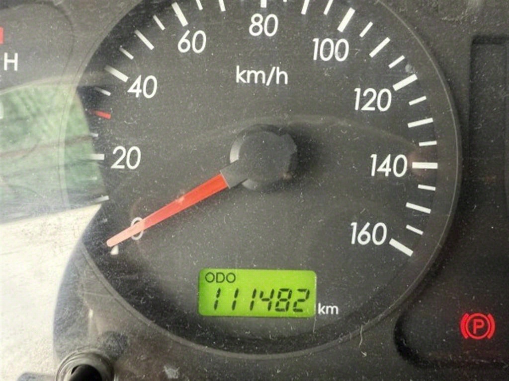 홈로리 마이티큐티