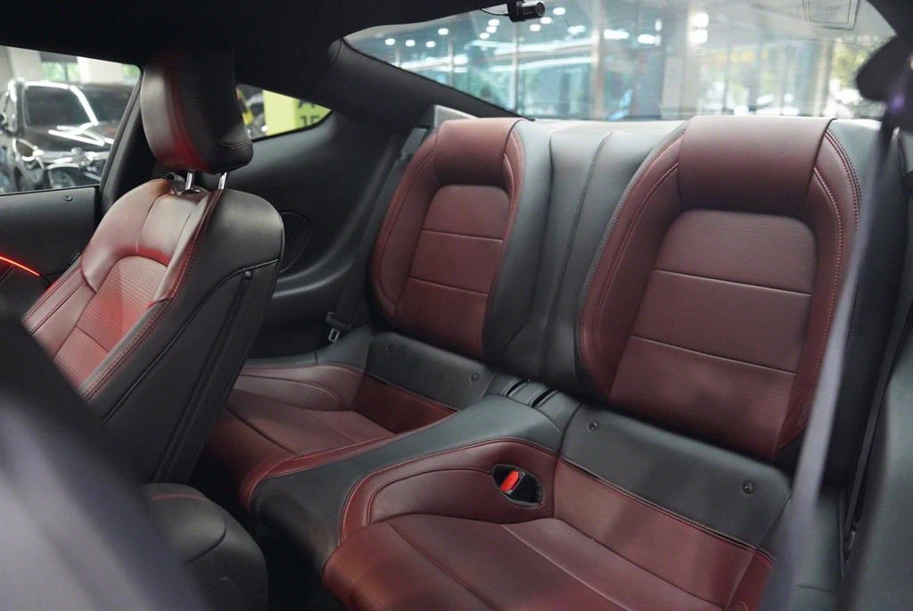 Ford Mustang 5.0 GT Premium Coupe 8