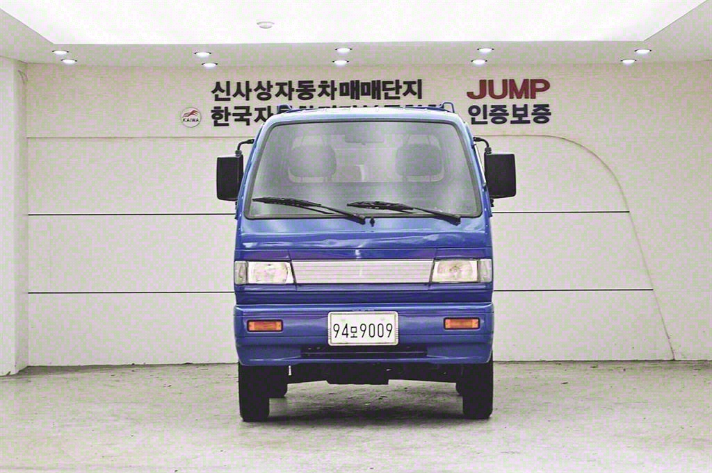 타타대우 라보 0.5톤 카고 LPG