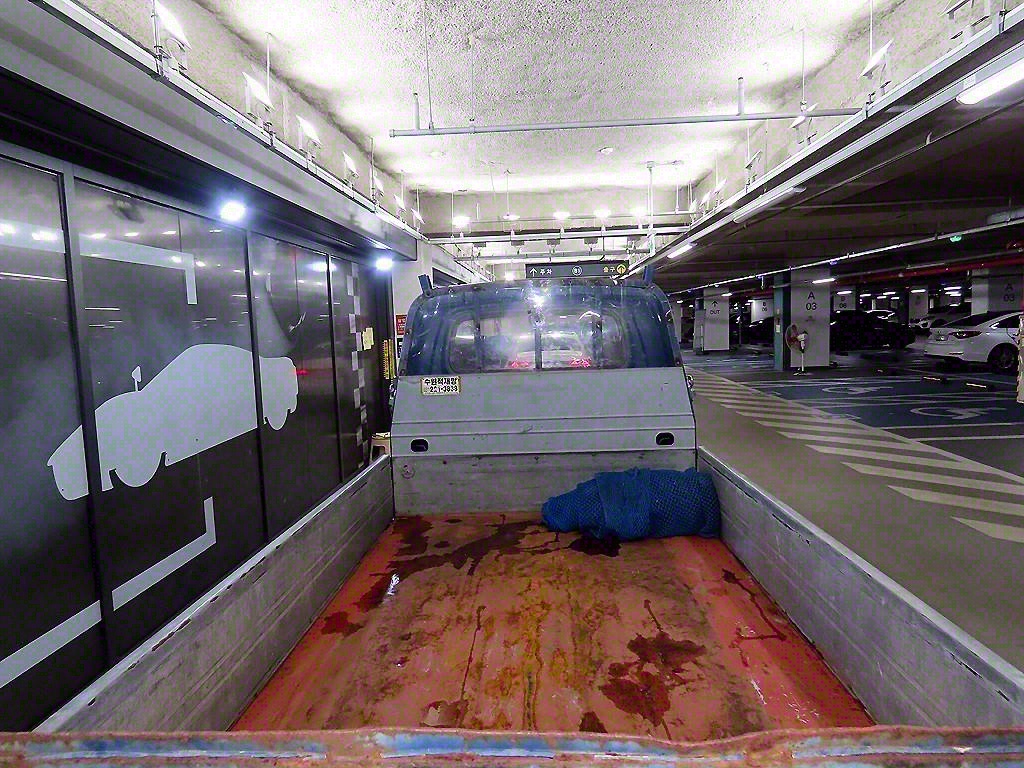 현대 포터2 1톤 카고 5