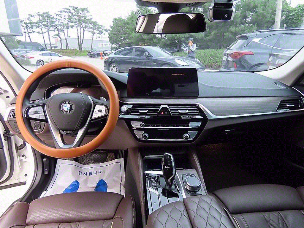 BMW 5 Series 530i xDrive Luxury 8