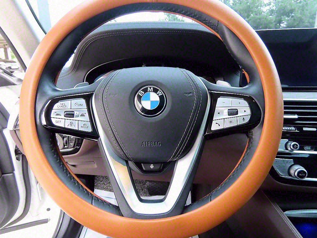 BMW 5 Series 530i xDrive Luxury 9