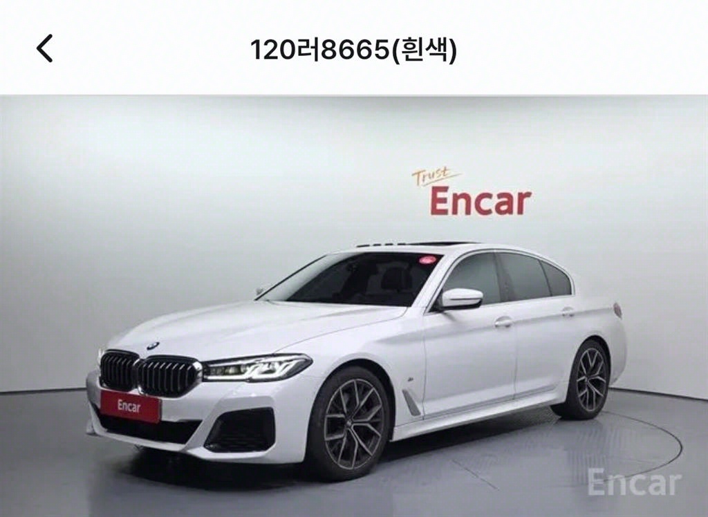 BMW 5 Series 530i M Sport
