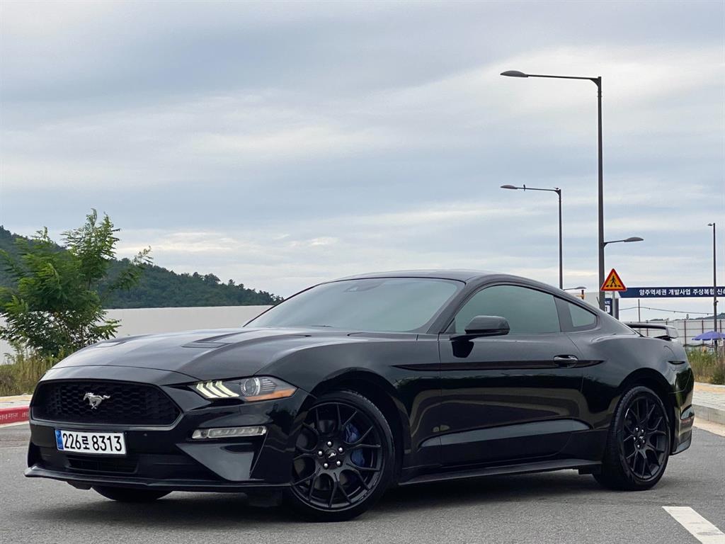 포드]머스탱 6세대 2.3 쿠페포드 머스탱 6세대 2.3 쿠페