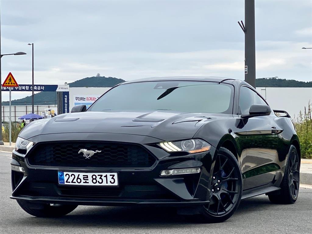 포드]머스탱 6세대 2.3 쿠페포드 머스탱 6세대 2.3 쿠페