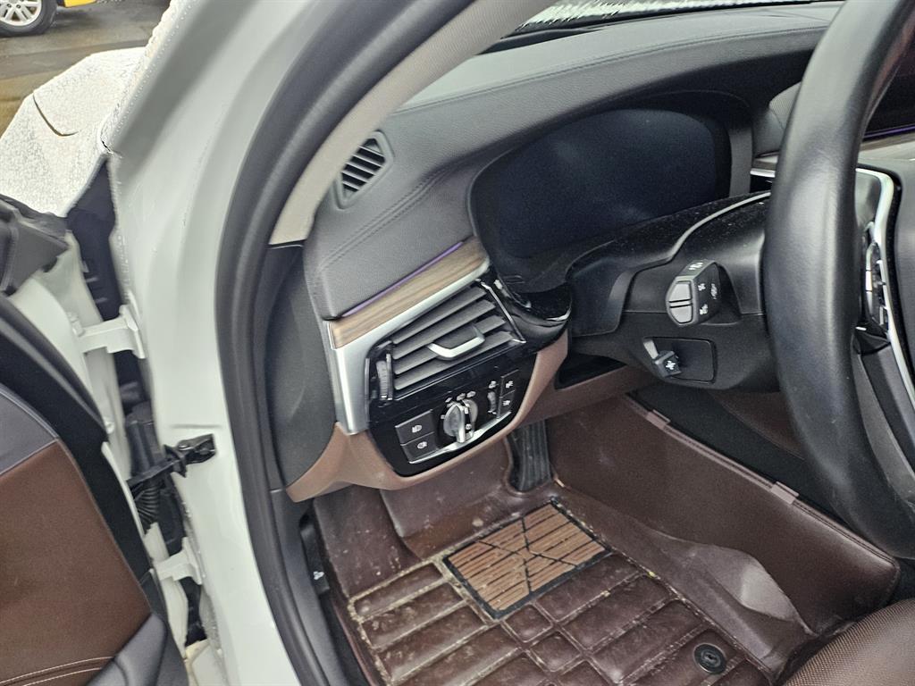 BMW 5 Series 530i xDrive Luxury Plus 10