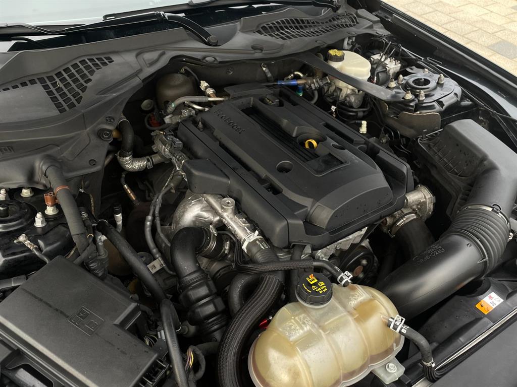 포드]머스탱 6세대 2.3 컨버터블포드 머스탱 6세대 2.3 컨버터블