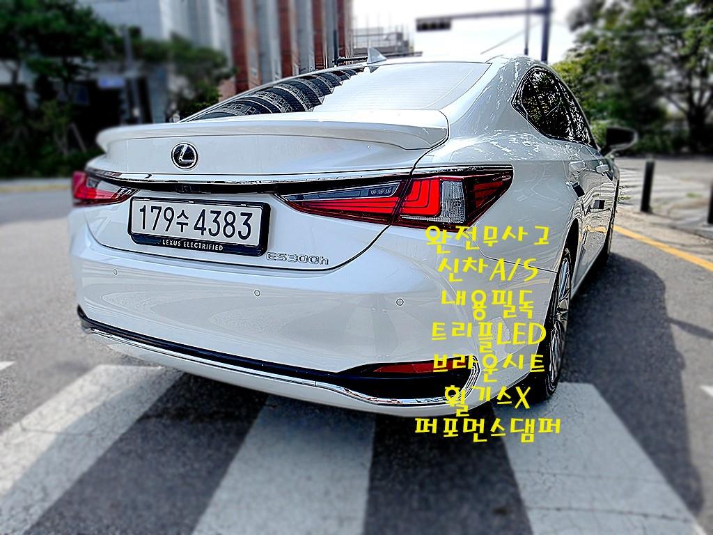 국산차 리스트 차량 이미지