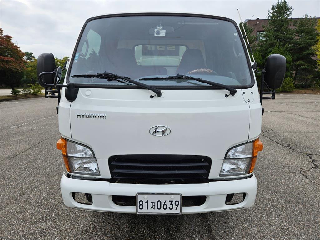 현대 홈로리 마이티큐티 1