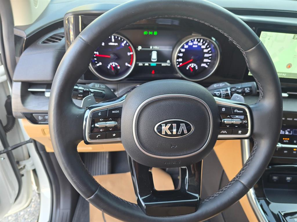 Kia Carnival Diesel Noblesse 10