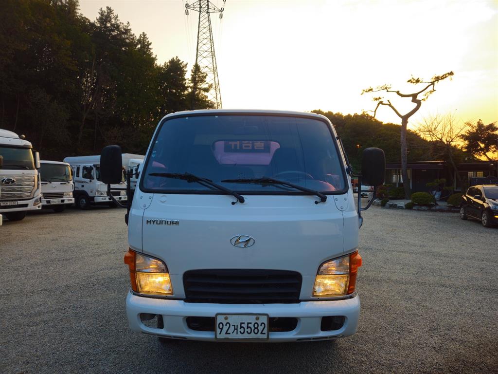 현대 홈로리 마이티큐티