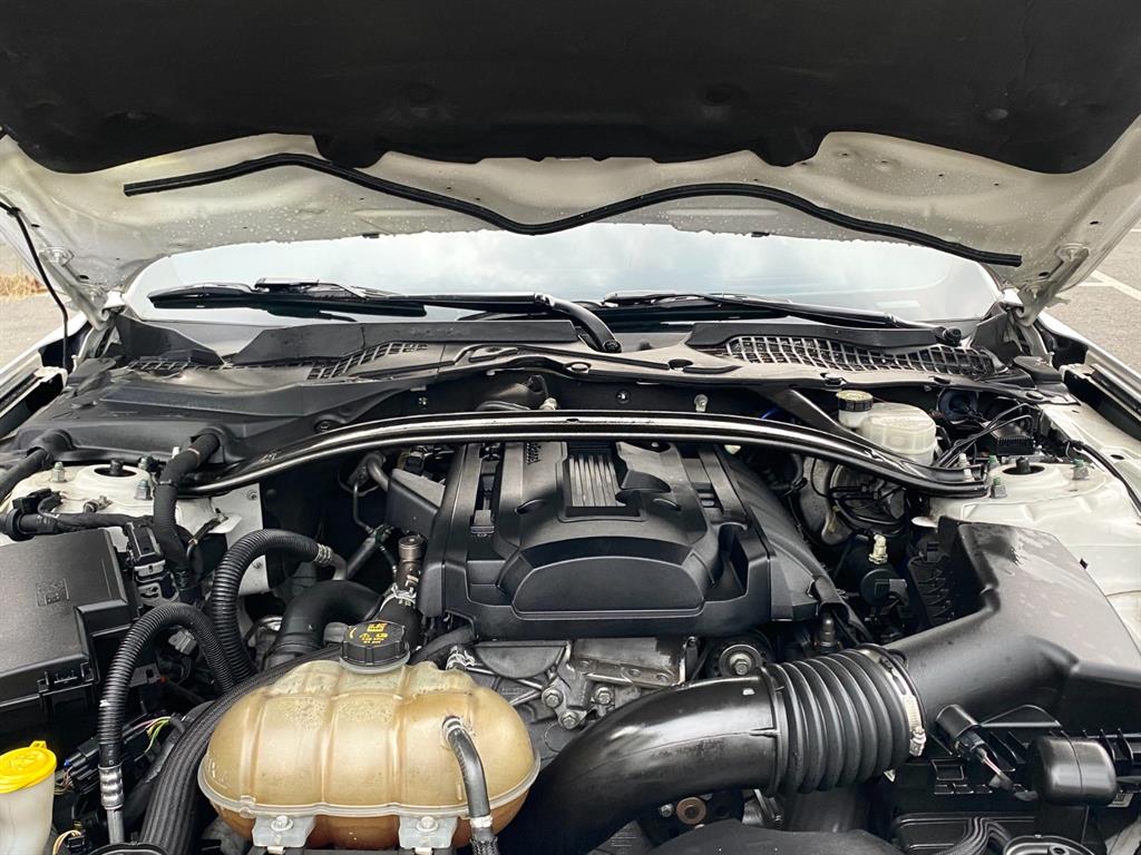 포드]머스탱 6세대 2.3 쿠페포드 머스탱 6세대 2.3 쿠페