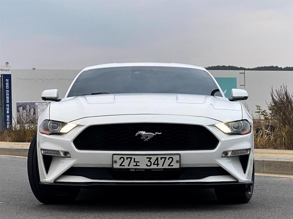 포드]머스탱 6세대 2.3 쿠페포드 머스탱 6세대 2.3 쿠페