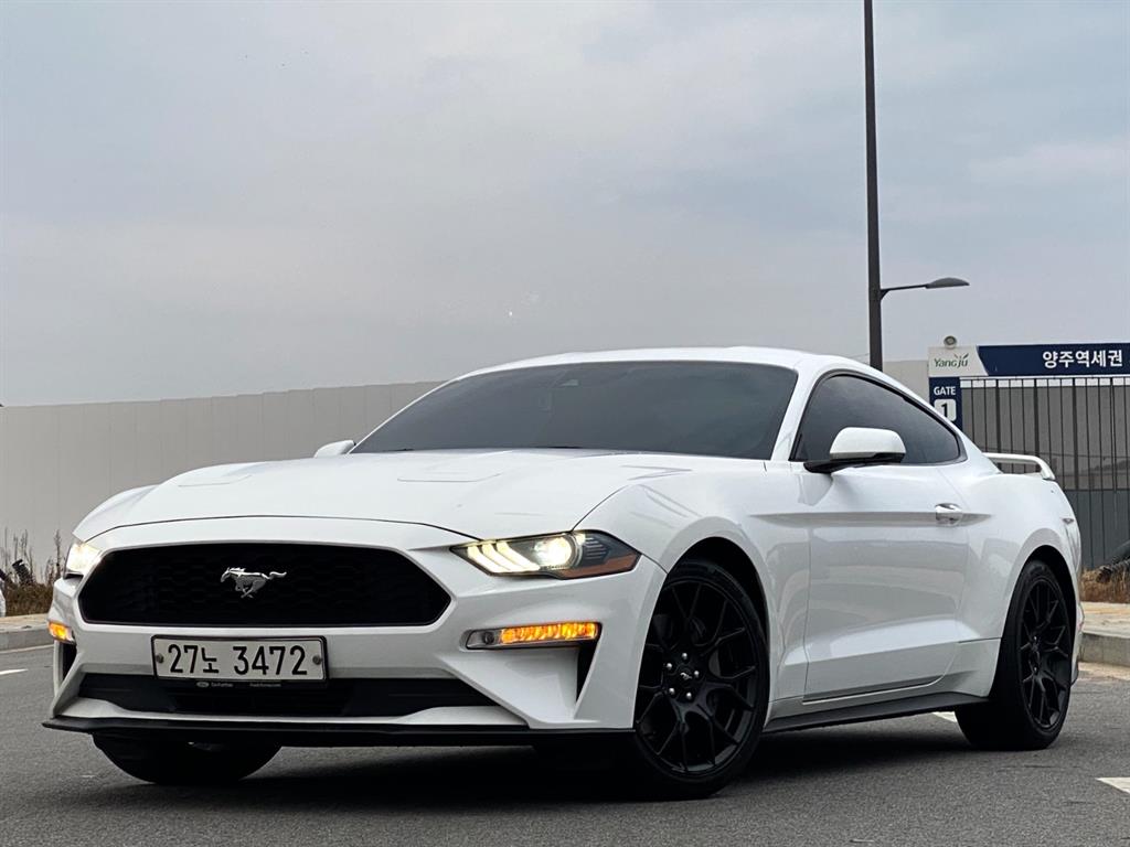 포드]머스탱 6세대 2.3 쿠페포드 머스탱 6세대 2.3 쿠페