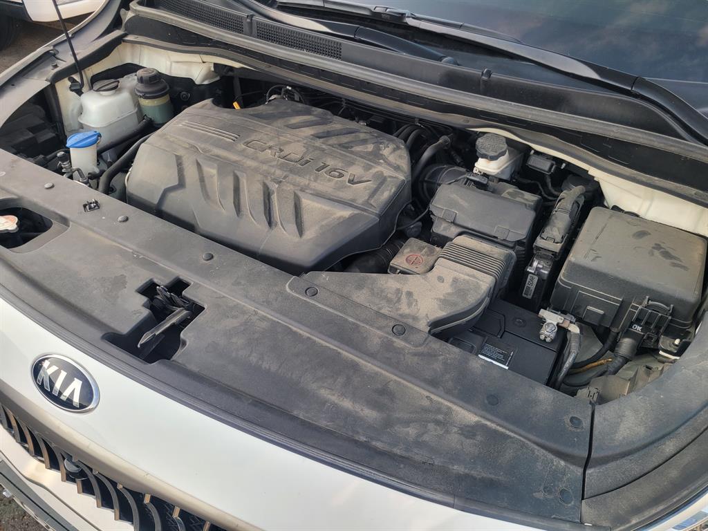 Kia Carnival Diesel Noblesse Special 7