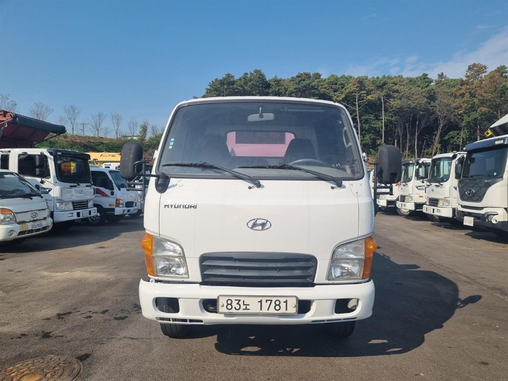 현대 홈로리 마이티큐티 1